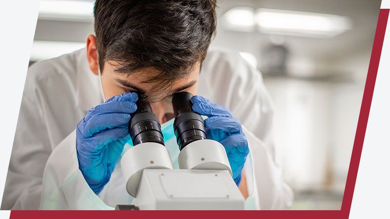 Male lab technician looks through a microscope.